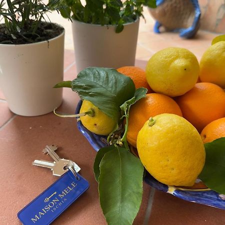 Maison Mele Ischia Dış mekan fotoğraf