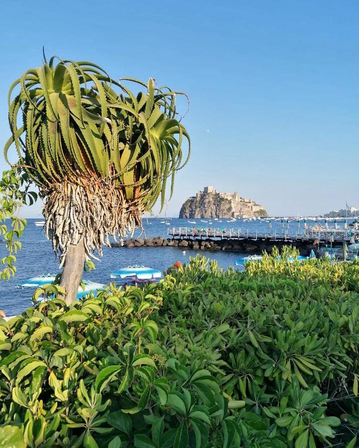 Maison Mele Ischia Dış mekan fotoğraf